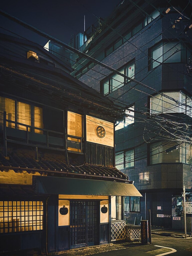 Old Japanese Buildings